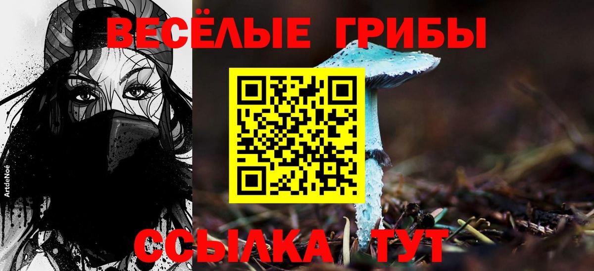 Псилоцибиновые грибы мицелий Апатиты